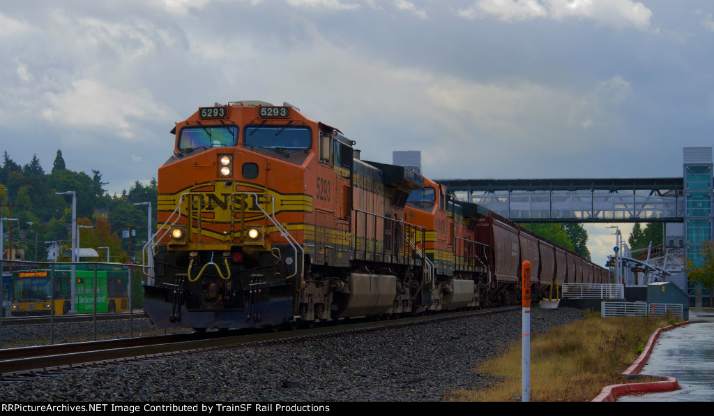 BNSF 5293 Leads a Grain train